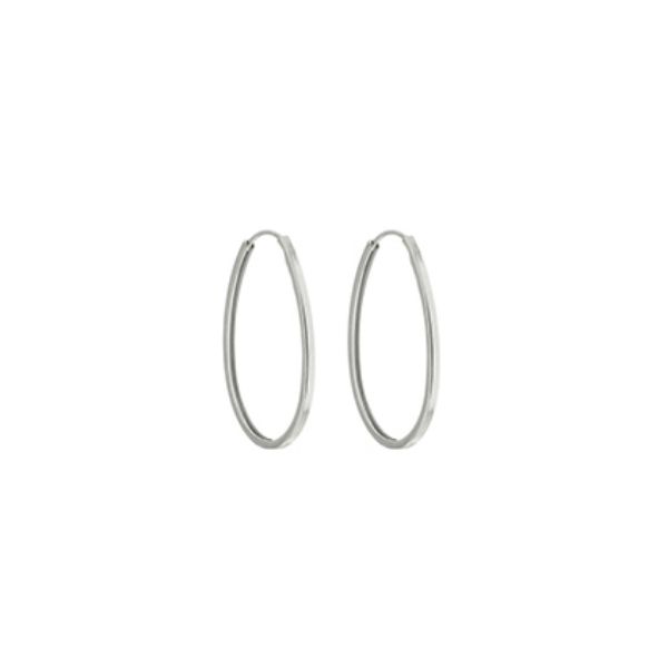 Imagem de Brinco argola fio oval; 2,7x2cm - 0526985